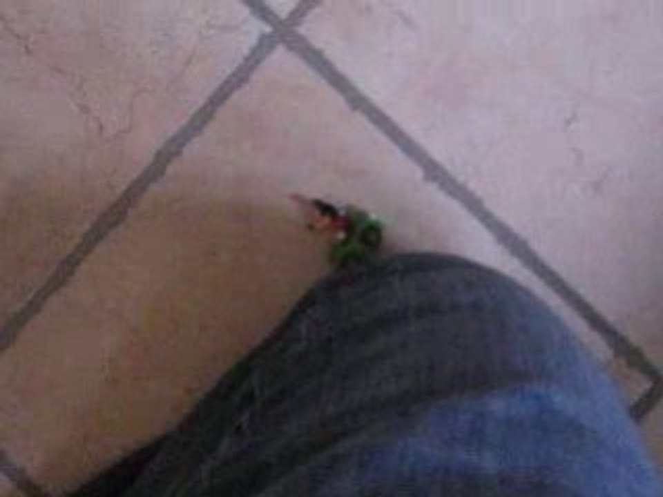 Mickey et le saut de la mort