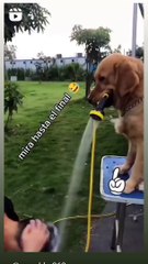 Funny memes. Laughing scenes  must watch video. New video latest video