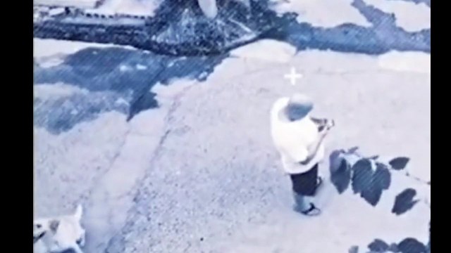 Köpekten hayat kurtaran dokunuş