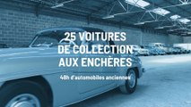 25 bolides aux enchères