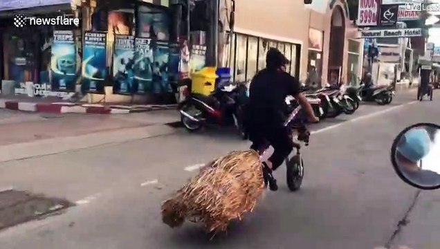 Un biker fan d'Harry Potter... moto à balai