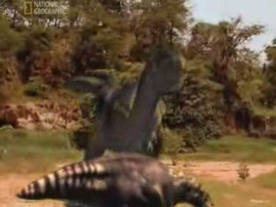 Dino_Autopsy_-_Part_3