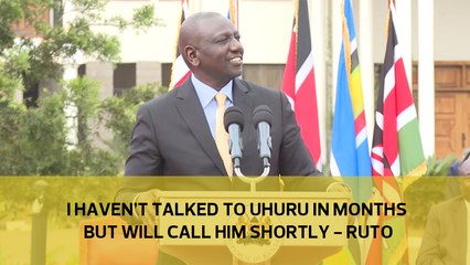 I haven't talked to Uhuru in months but will call him shortly - Ruto