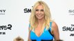 Britney Spears' former assistant slams Kevin Federline and says singer is a 'great mother'