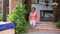 Guddu Episode 19 - [Eng Sub] - Ali Abbas - Fatima Effendi - Sohail Sameer - 5th Sep 22 -