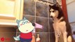 Funny Cat Loves Bathing with Wolfoo !!  Wolfoo in Real Life ! Funniest Cats And Dogs Videos