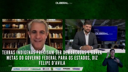 Terras indígenas precisam ser demarcadas e haver metas do governo federal para os Estados, diz Felipe D’Avila