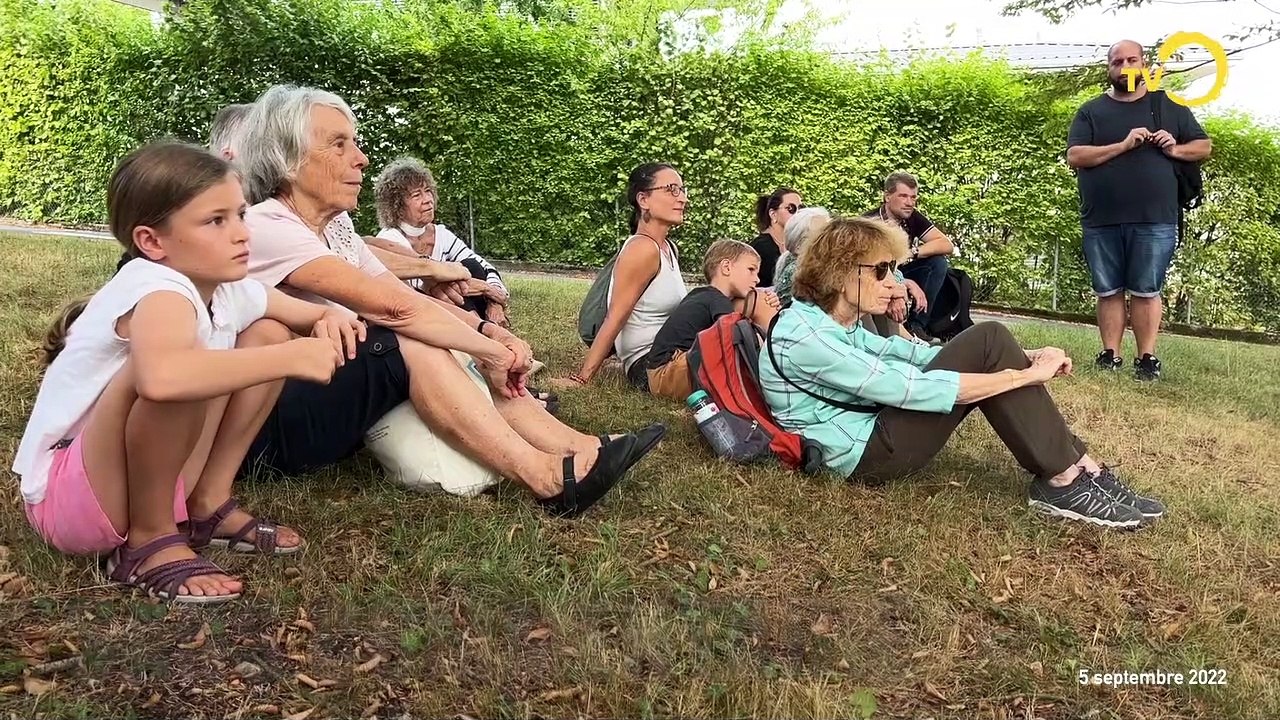 Sans commentaire: Histoire d'un arbre à Confignon