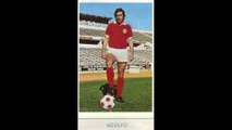 STICKERS PALIREX PORTUGUESE CHAMPIONSHIP 1972 (BENFICA)