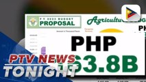 DA presents P163.8-B 2023 proposed budget before House Appropriations Committee