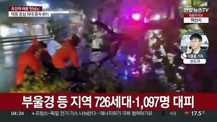 비바람에 가로수·전신주 넘어져…정부 '비상근무' 체제