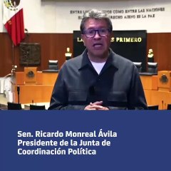Se espera la aprobación por la camara de diputados la legislación ordinaria en materia de guardia nacional