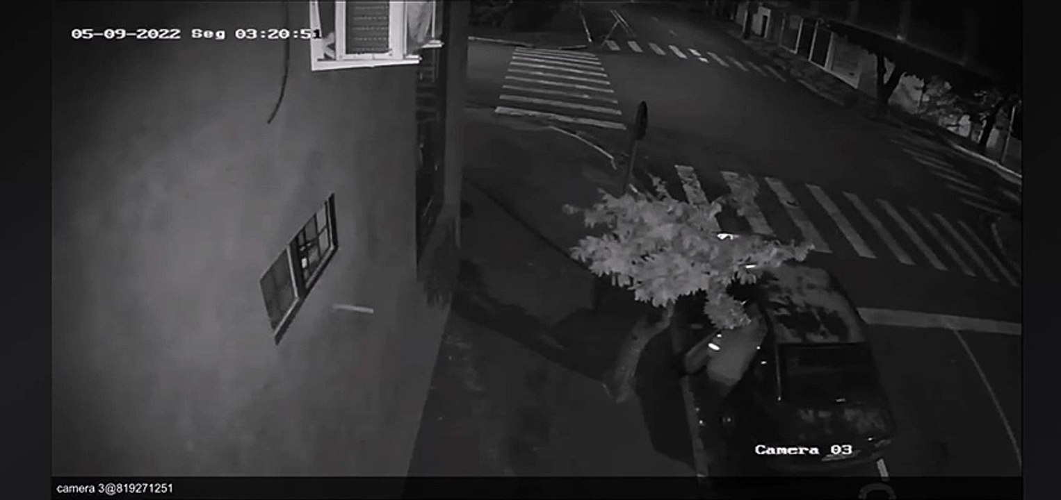 Bandidos furtam dezenas de celulares, bebidas e eletrônicos de loja em Umuarama