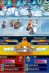 Super Dodgeball Brawlers online multiplayer - nds
