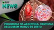 Ao Vivo | Pneumonia na Argentina: cientistas descobrem motivo de surto | 05/09/2022 | #OlharDigital