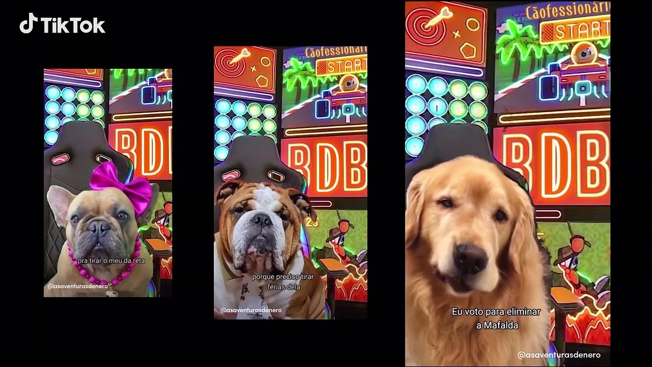 TikTok nega violação de segurança após hackers anunciarem roubo de dados