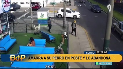 Desalmado acto en Surco: Atan a perro a poste para abandonarlo cerca a veterinaria