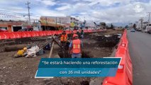 Para obras del Trolebús Chalco - Santa Martha, Derriban más de 670 árboles