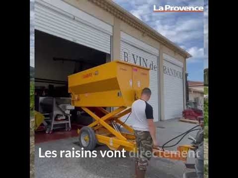 Des vendanges sous le signe de la sécheresse pour les vignerons