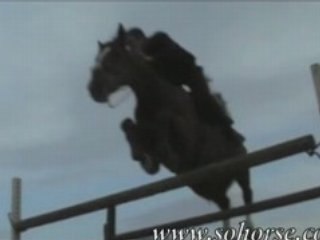 Cheval: L'obstacle vue de dessous!