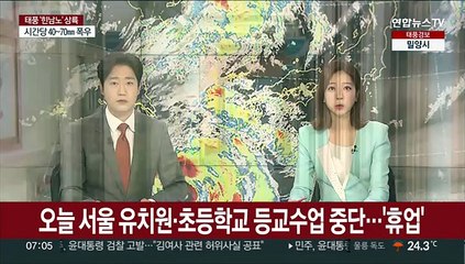 오늘 서울 유치원·초등학교 등교수업 중단…'휴업'