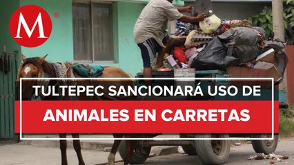 Municipio de Edomex prohibe uso de carretas jaladas por caballos