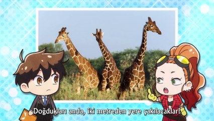 [Akirasubs] Tenchi Souzou Design-Bu - Bolum 01