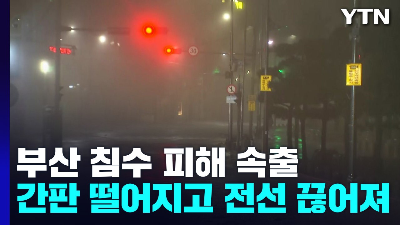 태풍 지나간 부산...쓰러지고 잠기고 피해 속출 / YTN