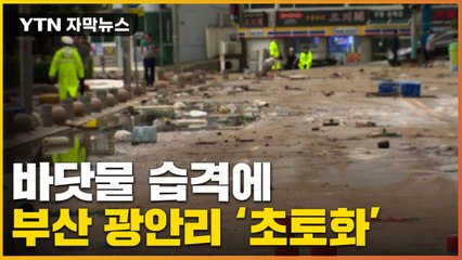 [자막뉴스] 도로까지 들이찬 바닷물과 쓰레기...쑥대밭 된 부산 / YTN