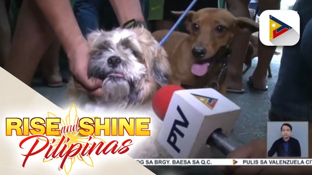 Pet Identification Project