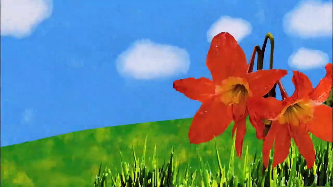 The Secret Life of the American Teenager Staffel 1 Folge 13 HD Deutsch