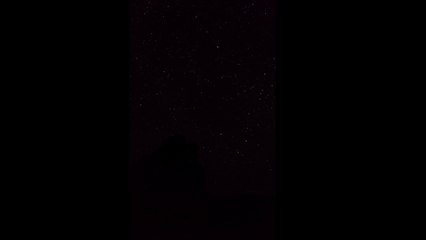 Mirchi short flim action video