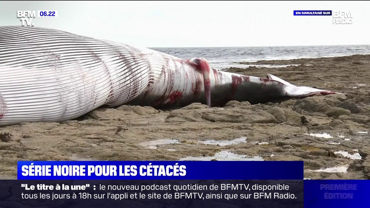 Entretenir sa voiture soi-même dans un "self-garage", c'est possible et plus économique