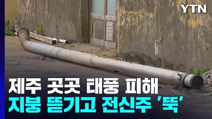 지붕 뜯기고 전신주 '뚝'...제주 피해 복구 작업 '속도' / YTN