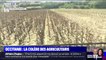 Face à la sécheresse, la colère des agriculteurs d'Occitanie qui en appellent au ministre de l'Agriculture