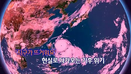 [영상구성] 태풍-기후변화
