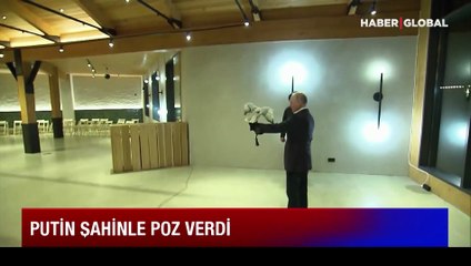 Rusya Devlet Başkanı Putin, şahin ile poz verdi: Şahin onu bırakmak istemedi