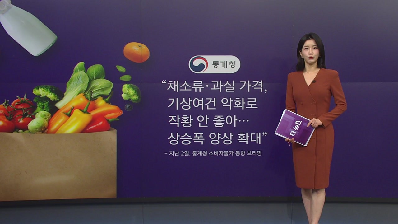 [더뉴스] 농산물 가격 고공행진, 앞으로가 더 문제! / YTN