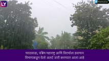 Maharashtra Rain: राज्यात पावसाचं कमबॅक, पावसाचा जोर आणखी वाढण्याची शक्यता