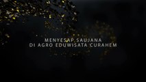 Menyesap Saujana di Agro Eduwisata Curahem