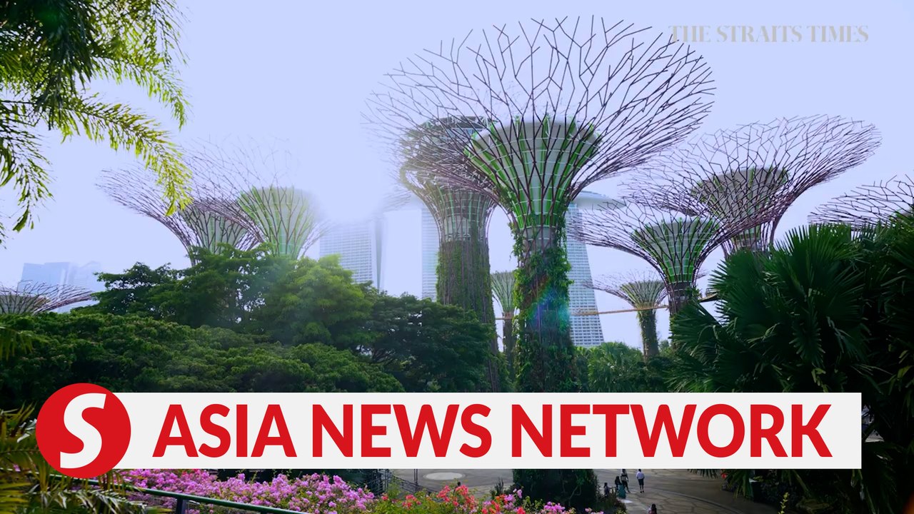 The Straits Times | Making Singapore a cooler city | Our Better Nature