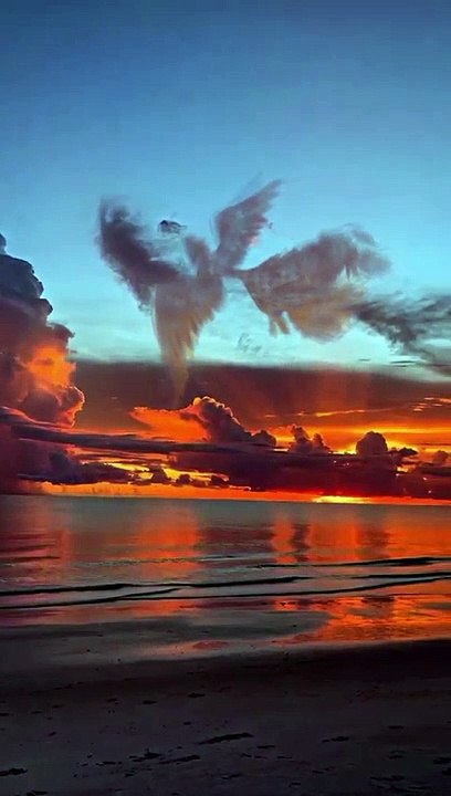 Are you a sunset lover___This is heaven ✨--_•_•_•_-- - _•_•__sunset _sunsets _sunsetcolors _sunsetlovers __sunset_pics _sunsetpainting _sunsetbeach _sunsetphotography _sunsetporn _clouds __cloudscolors _cloudslovers _cloudstagram(