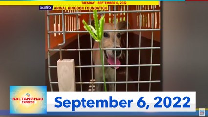 Balitanghali Express: September 6, 2022