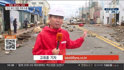 생채기 곳곳에…부산·울산 할퀸 태풍 힌남노