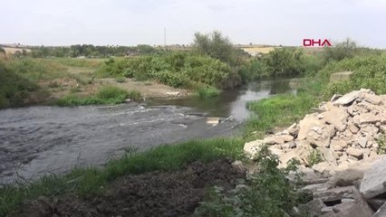 ERGENE NEHRİ'NİN SU KALİTESİ KİMYASAL OKSİTTE 'AZ KİRLENMİŞ' ÇIKTI