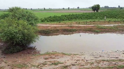 The view of the green and beautiful Pakistan from the train