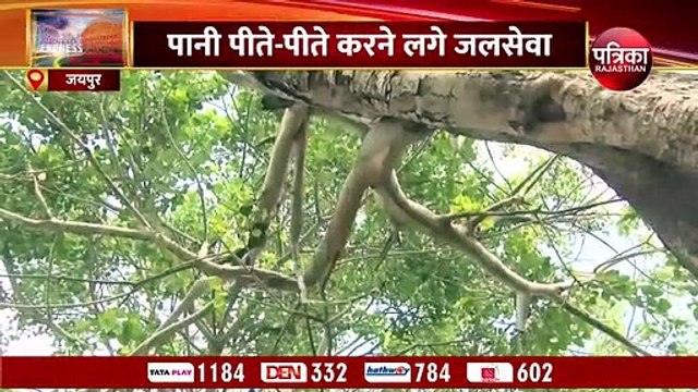 अमृत से कम नहीं राजस्थान के इस कुएं का पानी... इन बीमारियों का रामबाण इलाज