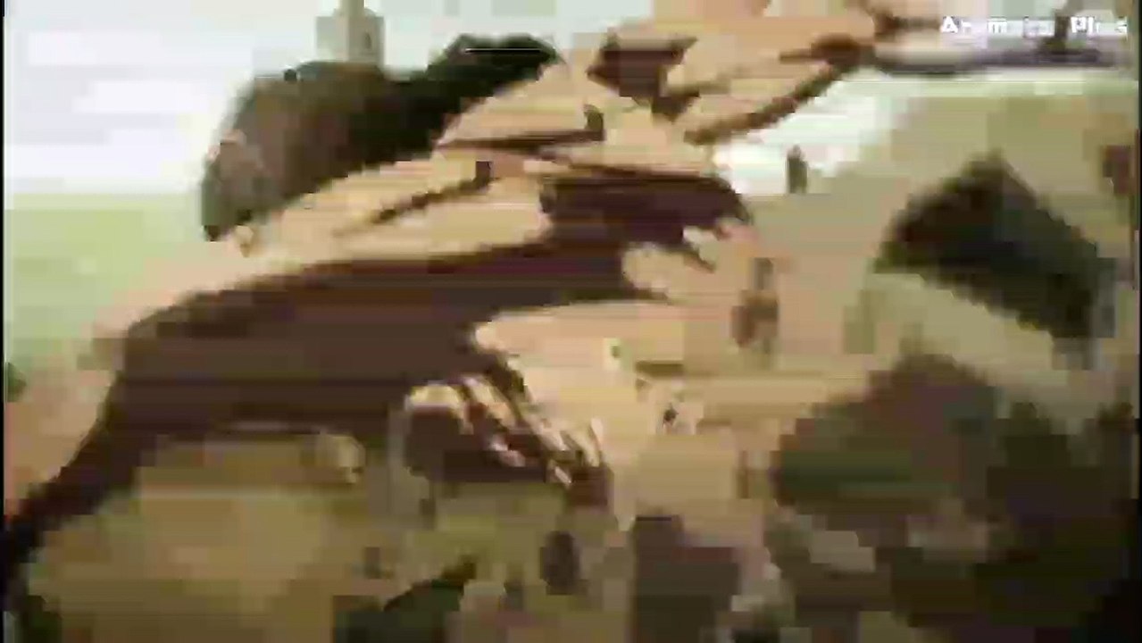 EREN YEAGER BECOME EVIL ATTACK ON TITAN FINAL SEASON [ EDIT ]