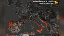 Avrupa'da 3 aylık orman yangınının tahribatı uzaydan görüntülendi
