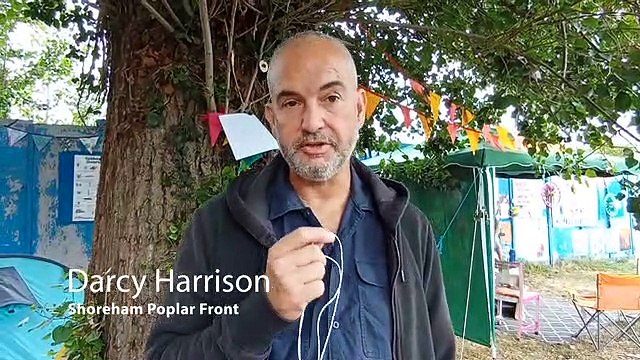 Shoreham tree facing chop occupied by campaigners